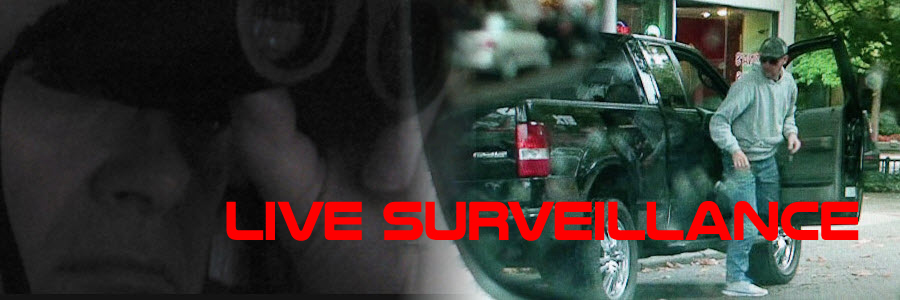 Subject exiting vehicle Surveillance
