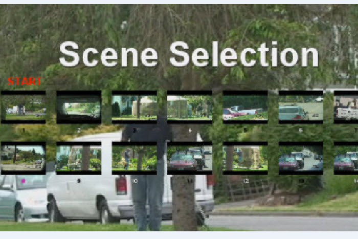 Sample DVD Scene Menu