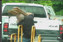 Slideshow 1